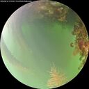 ./images/calvert/underwater/20260814/underwater20260814_175501M.jpg