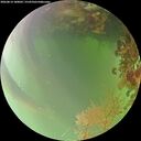./images/calvert/underwater/20260814/underwater20260814_180002M.jpg