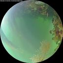 ./images/calvert/underwater/20260814/underwater20260814_182501M.jpg