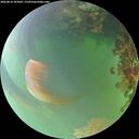 ./images/calvert/underwater/20260814/underwater20260814_183001M.jpg