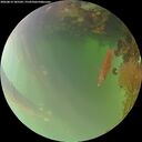 ./images/calvert/underwater/20260814/underwater20260814_185501M.jpg