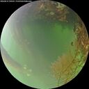 ./images/calvert/underwater/20260814/underwater20260814_190501M.jpg