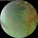 ./images/calvert/underwater/20260814/underwater20260814_191501M.jpg