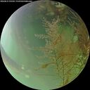 ./images/calvert/underwater/20260814/underwater20260814_192501M.jpg