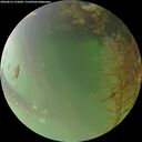 ./images/calvert/underwater/20260814/underwater20260814_193001M.jpg