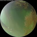./images/calvert/underwater/20260814/underwater20260814_194501M.jpg
