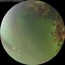 ./images/calvert/underwater/20260814/underwater20260814_195501M.jpg