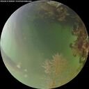 ./images/calvert/underwater/20260814/underwater20260814_200002M.jpg