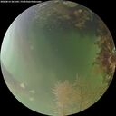 ./images/calvert/underwater/20260814/underwater20260814_201001M.jpg