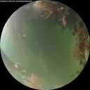 ./images/calvert/underwater/20260814/underwater20260814_202501M.jpg