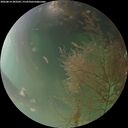 ./images/calvert/underwater/20260814/underwater20260814_203501M.jpg