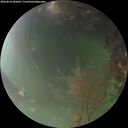 ./images/calvert/underwater/20260814/underwater20260814_205002M.jpg