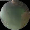 ./images/calvert/underwater/20260814/underwater20260814_205501M.jpg