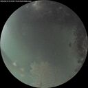 ./images/calvert/underwater/20260814/underwater20260814_211502M.jpg