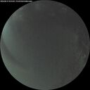 ./images/calvert/underwater/20260815/underwater20260815_055502M.jpg