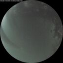 ./images/calvert/underwater/20260815/underwater20260815_060002M.jpg