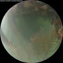 ./images/calvert/underwater/20260815/underwater20260815_063001M.jpg
