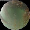 ./images/calvert/underwater/20260815/underwater20260815_064501M.jpg