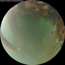 ./images/calvert/underwater/20260815/underwater20260815_065001M.jpg
