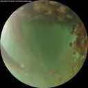 ./images/calvert/underwater/20260815/underwater20260815_071001M.jpg