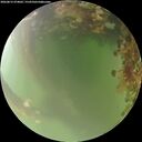 ./images/calvert/underwater/20260815/underwater20260815_074002M.jpg