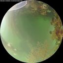 ./images/calvert/underwater/20260815/underwater20260815_080001M.jpg