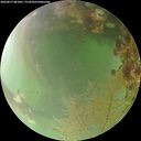 ./images/calvert/underwater/20260815/underwater20260815_081001M.jpg