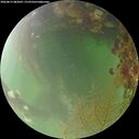 ./images/calvert/underwater/20260815/underwater20260815_083001M.jpg