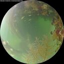 ./images/calvert/underwater/20260815/underwater20260815_083501M.jpg