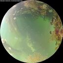./images/calvert/underwater/20260815/underwater20260815_085502M.jpg
