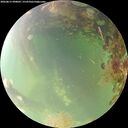 ./images/calvert/underwater/20260815/underwater20260815_090001M.jpg