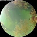 ./images/calvert/underwater/20260815/underwater20260815_094501M.jpg