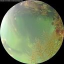 ./images/calvert/underwater/20260815/underwater20260815_095001M.jpg