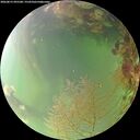 ./images/calvert/underwater/20260815/underwater20260815_095501M.jpg