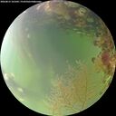 ./images/calvert/underwater/20260815/underwater20260815_101001M.jpg
