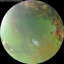 ./images/calvert/underwater/20260815/underwater20260815_101501M.jpg
