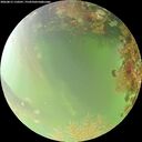 ./images/calvert/underwater/20260815/underwater20260815_110501M.jpg