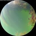 ./images/calvert/underwater/20260815/underwater20260815_153501M.jpg