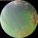 ./images/calvert/underwater/20260815/underwater20260815_162501M.jpg
