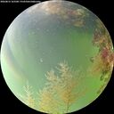 ./images/calvert/underwater/20260815/underwater20260815_163501M.jpg