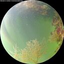 ./images/calvert/underwater/20260815/underwater20260815_164001M.jpg