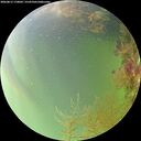 ./images/calvert/underwater/20260815/underwater20260815_170001M.jpg