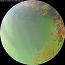./images/calvert/underwater/20260815/underwater20260815_171001M.jpg