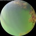 ./images/calvert/underwater/20260815/underwater20260815_172501M.jpg