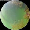 ./images/calvert/underwater/20260815/underwater20260815_173001M.jpg