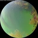 ./images/calvert/underwater/20260815/underwater20260815_174001M.jpg