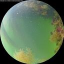 ./images/calvert/underwater/20260815/underwater20260815_174501M.jpg