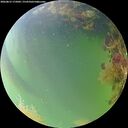 ./images/calvert/underwater/20260815/underwater20260815_175001M.jpg