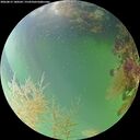 ./images/calvert/underwater/20260815/underwater20260815_180501M.jpg