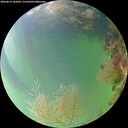 ./images/calvert/underwater/20260815/underwater20260815_182002M.jpg